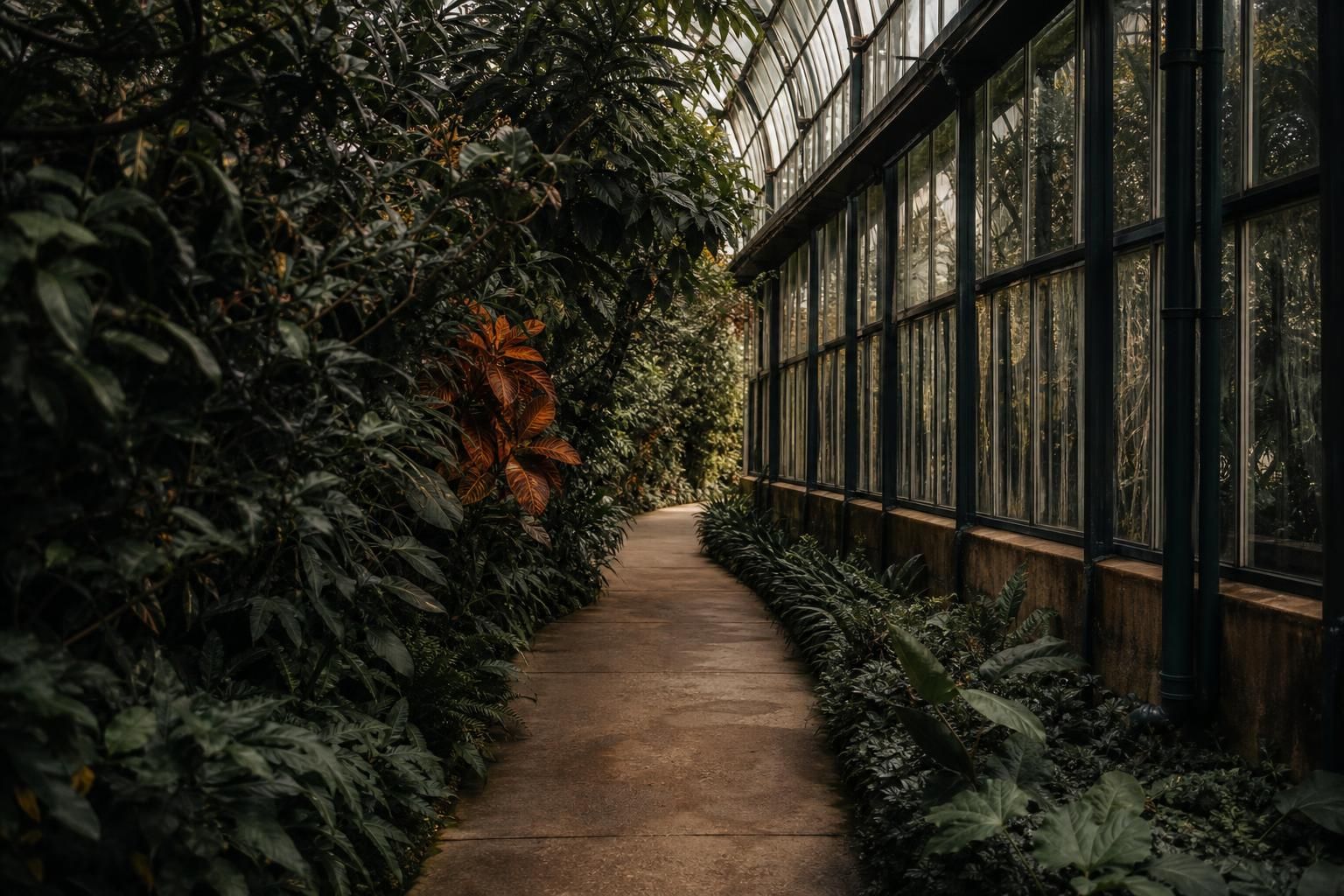 Grüner Weg im Botanischen Garten